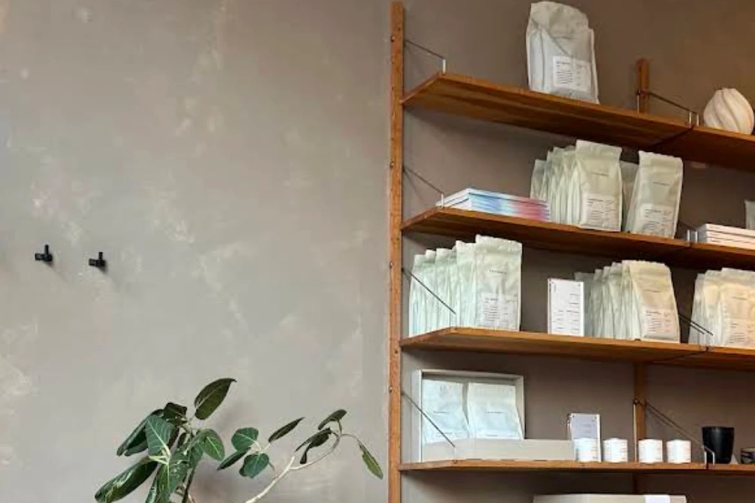Retail shelving stocked with Uncommon's own roasted coffee bags beside a fig plant against a warm plaster wall