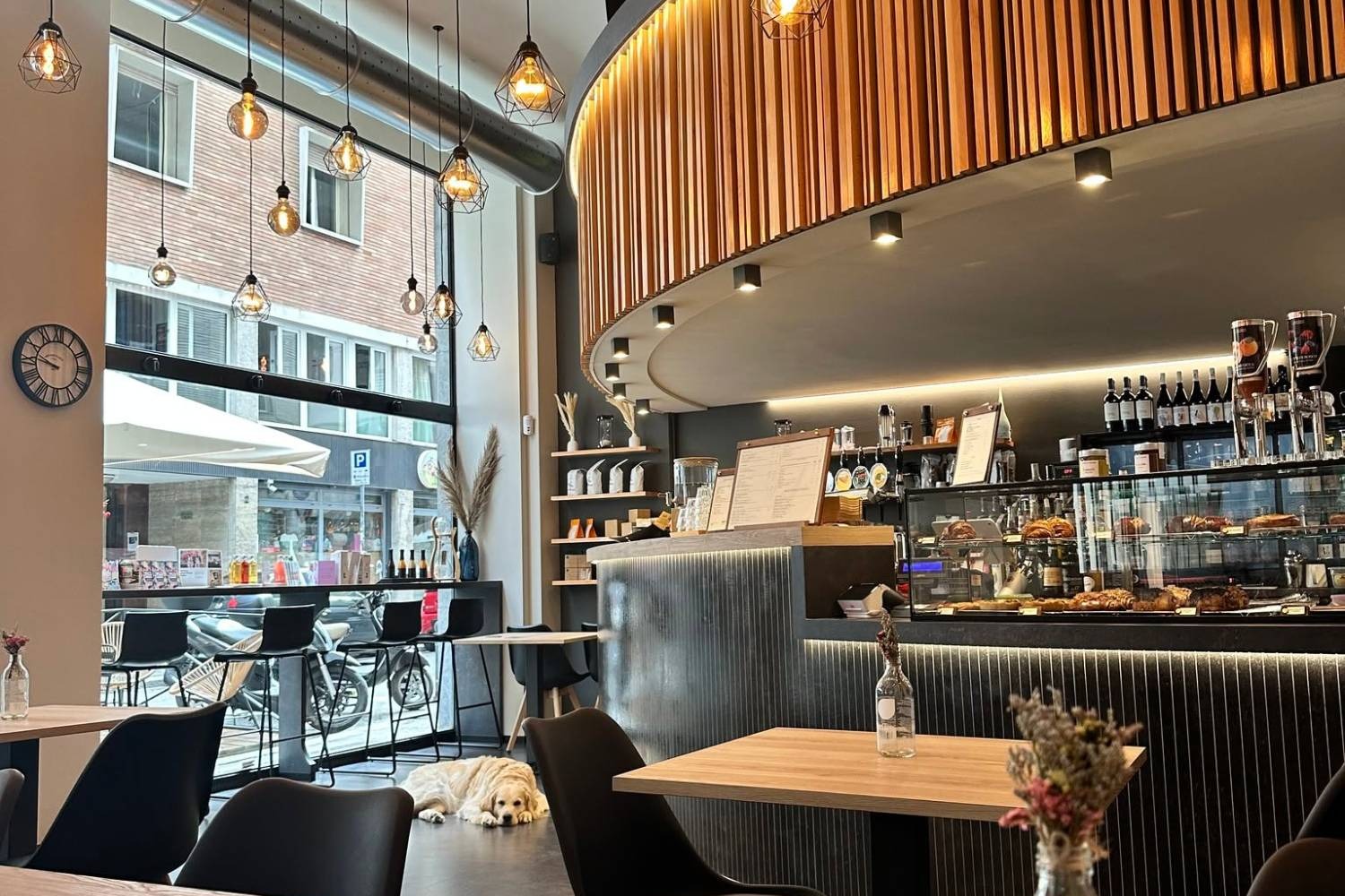 The Mood24 interior, a curved wood slat counter and pastry case under hanging bulb lights, with the shop's resident dog lying near the window
