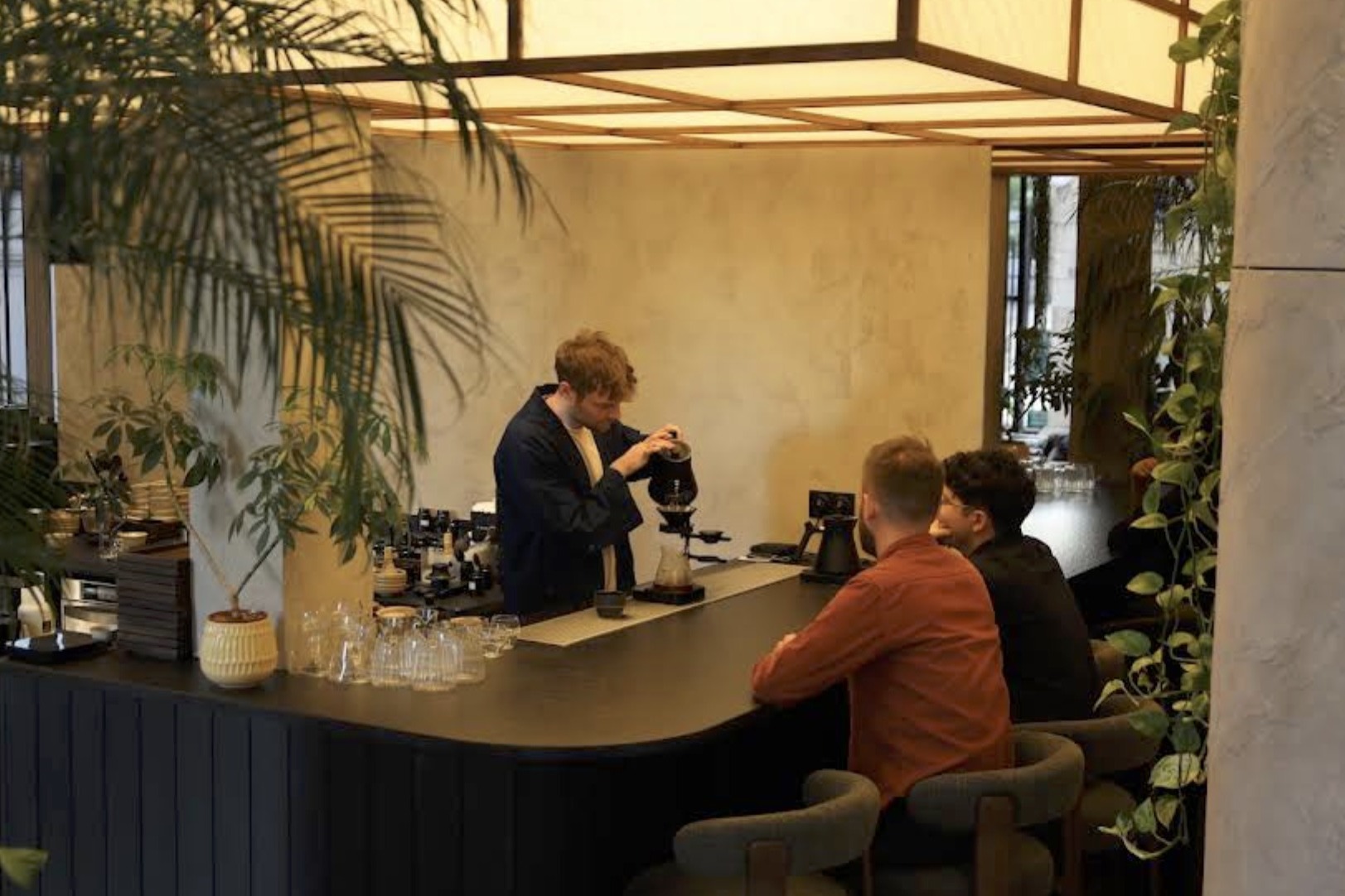 A barista pouring a V60 at the Forêt Forêt counter under a wood lattice light fixture, palms and trailing vines filling the room